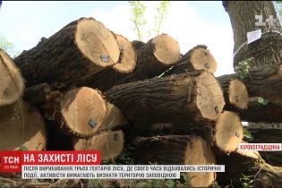 На Кіровоградщині вирубали близько трьох гектарів історичного лісу