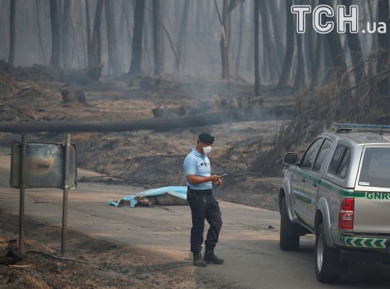 Потужні лісові пожежі у Португалії: кількість жертв росте, у країні оголошено жалобу