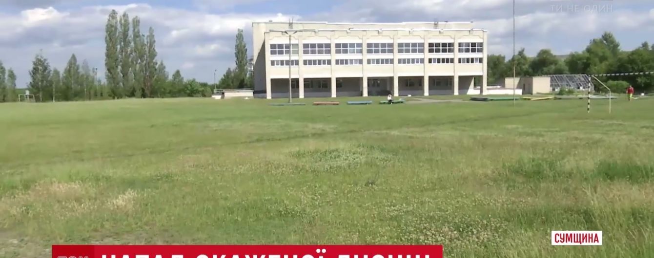 У Конотопі занедбали пошуки лисиці, котра покусала маленьку дівчинку на подвір'ї школи