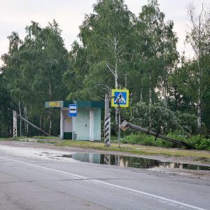 На Київщині потужний буревій повалив дерева, електроопори та позривав дахи у десятків будинків