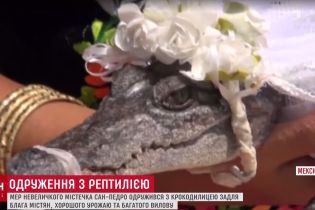 Мексиканський мер одружився з крокодилицею