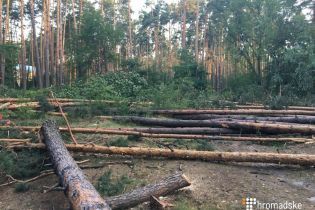 Протест проти вирубку лісу: кияни заблокували дорогу на Вишгород