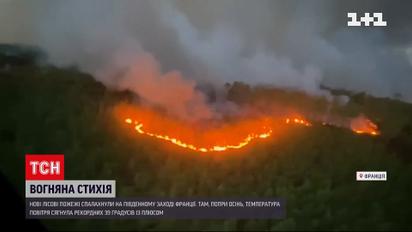 Температурные рекорды и новые лесные пожары на юго-западе Франции