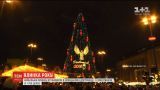Елка года: в Германии установили самую большую рождественскую елку в мире