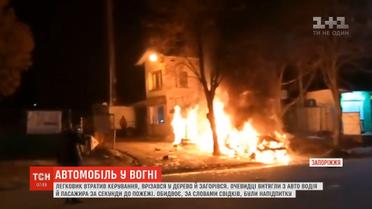 У Запоріжжі легковик втратив керування, врізався у дерево і загорівся