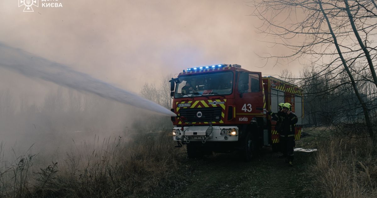 У Києві на Троєщині рятувальники ліквідували пожежу в екосистемах