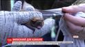 У Харківському екопарку на волю випустили рекордну кількість врятованих кажанів