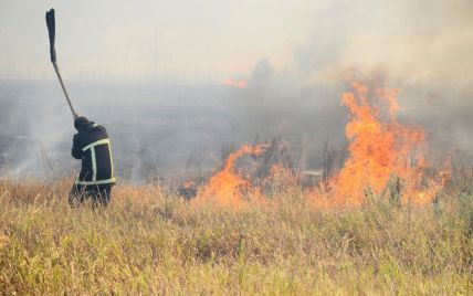 До шести тысяч гривен штрафа: правительство намерено жестче наказывать поджигателей сухой травы