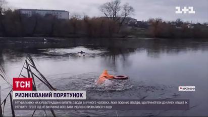 Хотів допомогти лебедям і ледь не втопився, як рятували рятівника?
