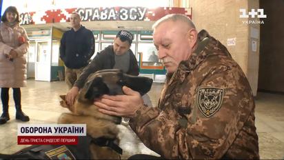 Собача терапія: лікарі залучають чотирилапих помічників для лікування бійців