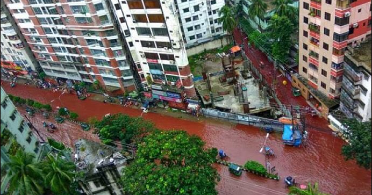По улицам столицы Бангладеша течет река из крови и дождевой воды