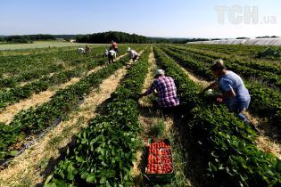 Польща змінює правила працевлаштування іноземних заробітчан