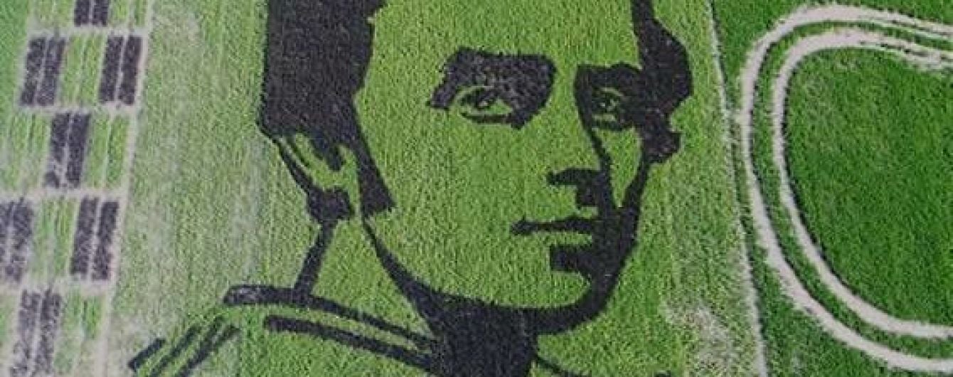 На полях Херсонщини з'явився велетенський портрет Шевченка