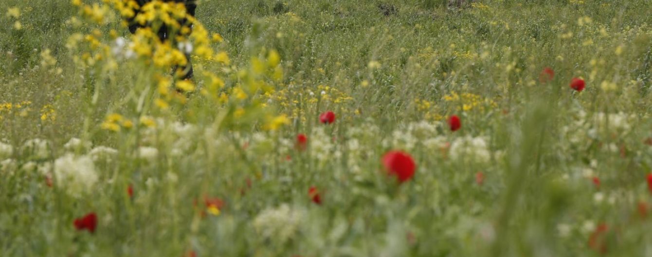 За добу в зоні АТО бойовики поранили одного бійця