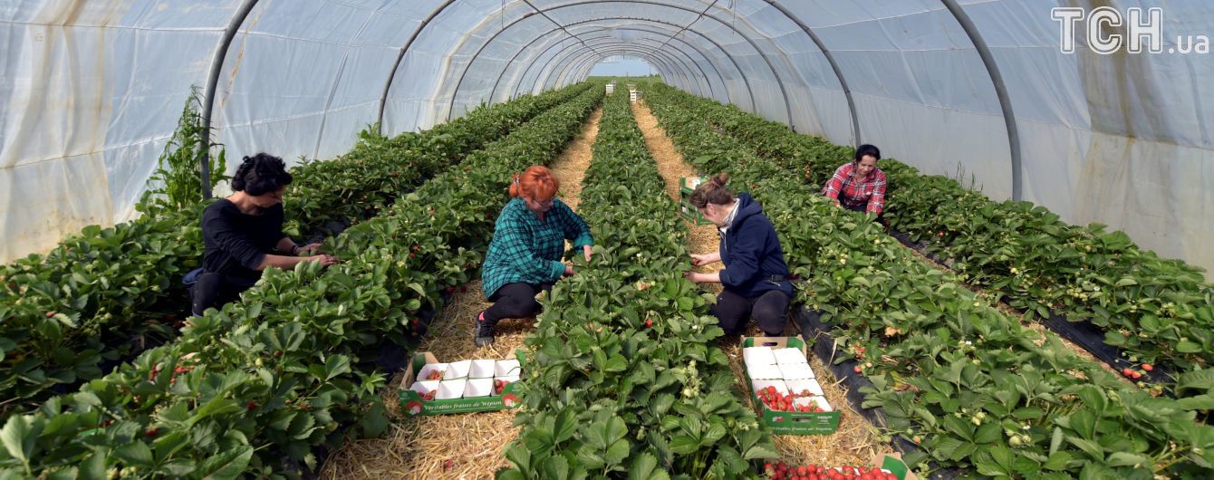 Українським заробітчанам у Польщі почали платити більше грошей
