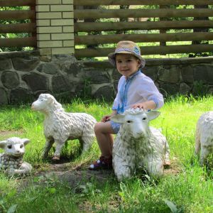 5-летнему Артему нужна срочная помощь неравнодушных