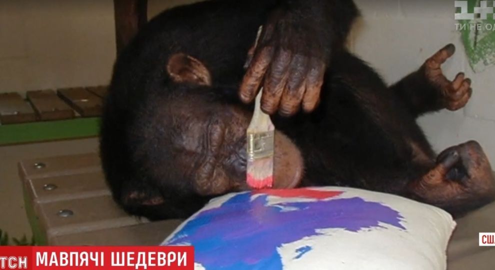 Шимпанзе Майкла Джексона намалювала картину, яка продалася на аукціоні