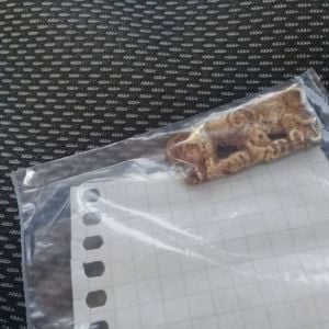 На Полтавщине археологи нашли скифское золото и уникальную амфору