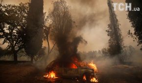 Пекельний вогонь: Португалію охопили потужні лісові пожежі