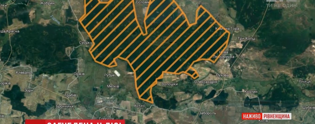 Четыре дня поисков: на Ровенщине женщина потерялась в лесу, куда пошла за черникой