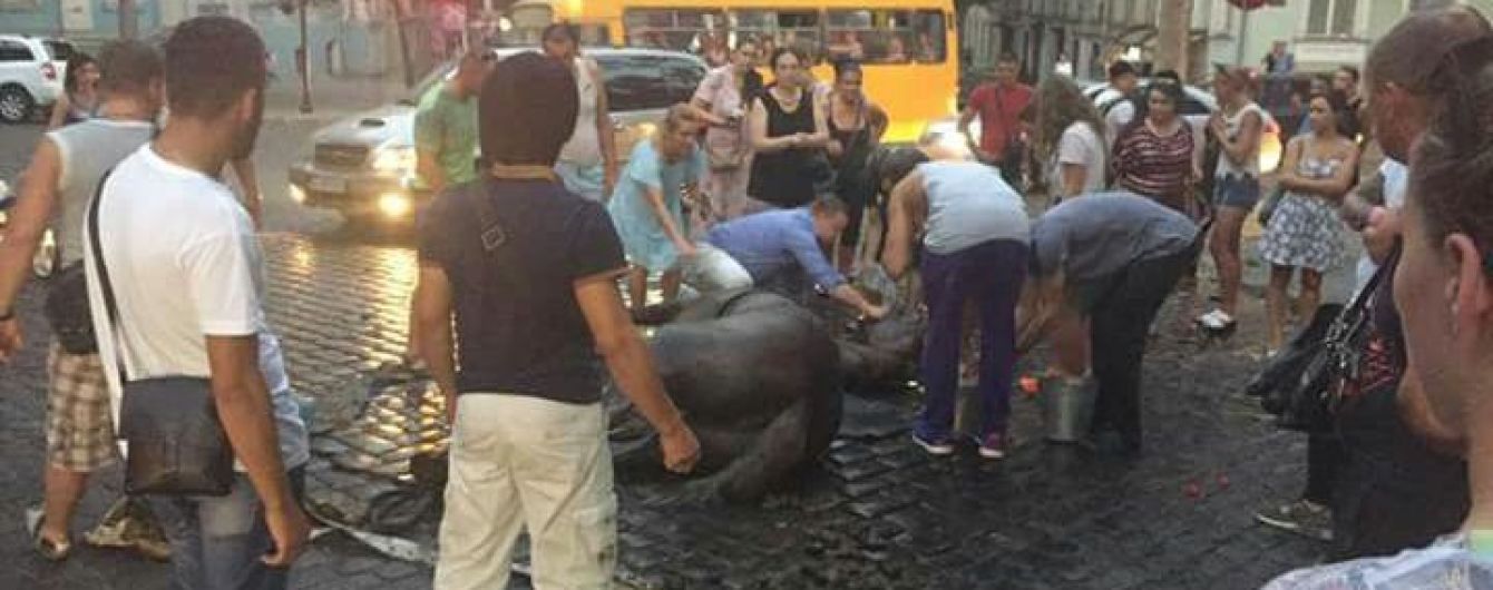 В Одесі поліція відкрила справу через зомлілого посеред вулиці коня
