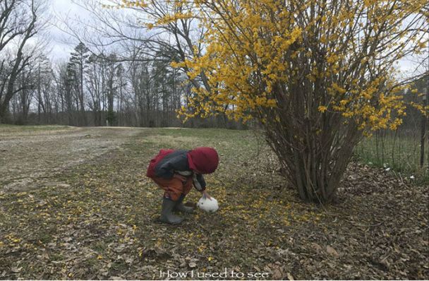 Фото любителя і профі