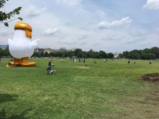 У Вашингтоні Трампа тролять надувним курчам із фірмовою зачіскою (ВІДЕО)
