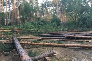 Протест проти вирубку лісу: кияни заблокували дорогу на Вишгород