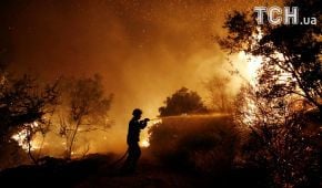 Греція задихається від їдкого диму через масштабні лісові пожежі