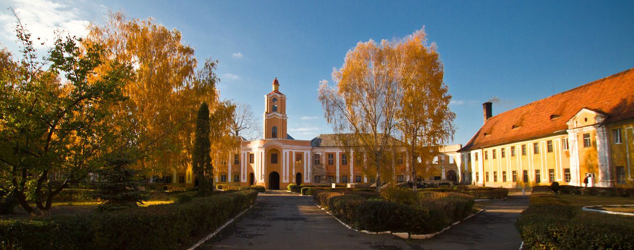 Олика, Олицький замок Радзівілів