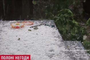 Зимові краєвиди та вбиті птахи: Львів накрила потужна злива з градом