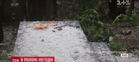 Зимові краєвиди та вбиті птахи: Львів накрила потужна злива з градом