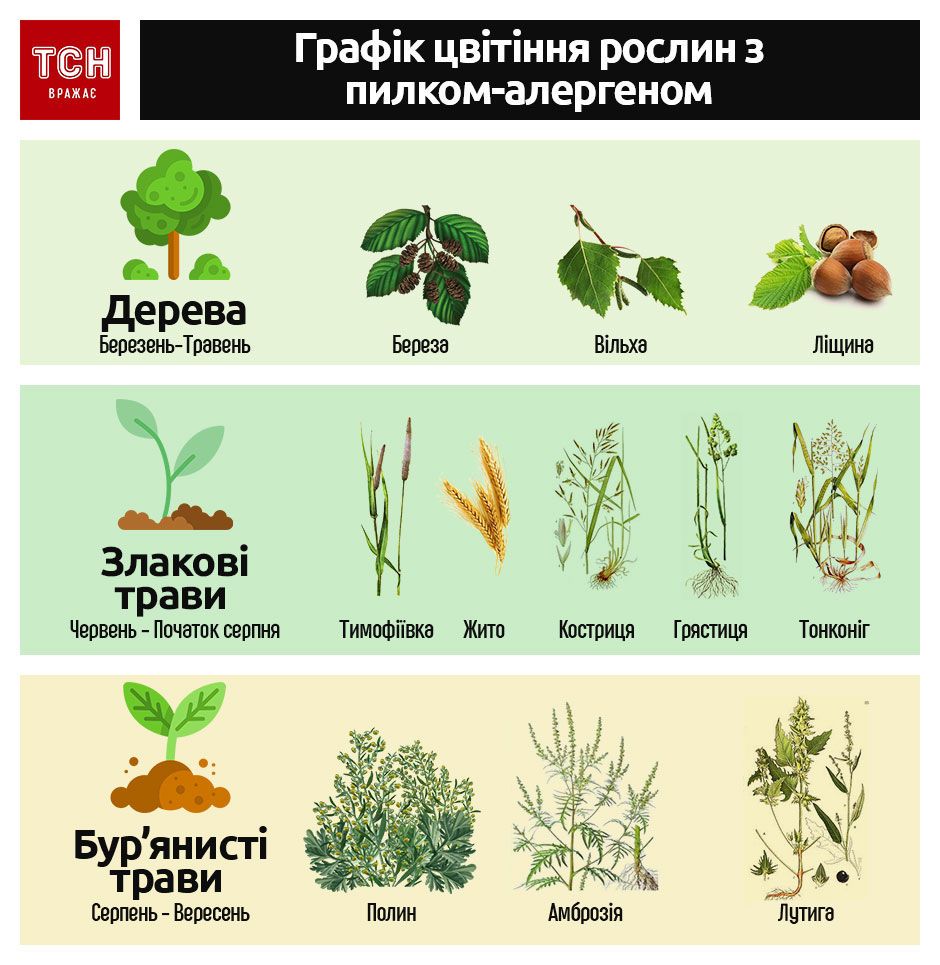 Алергія інфографіка_1
