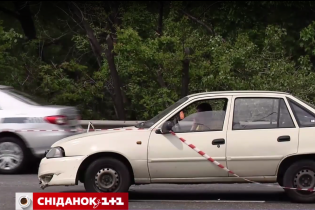 В Украине планируют уменьшить в населенных пунктах максимальную скорость до 50 км/ч