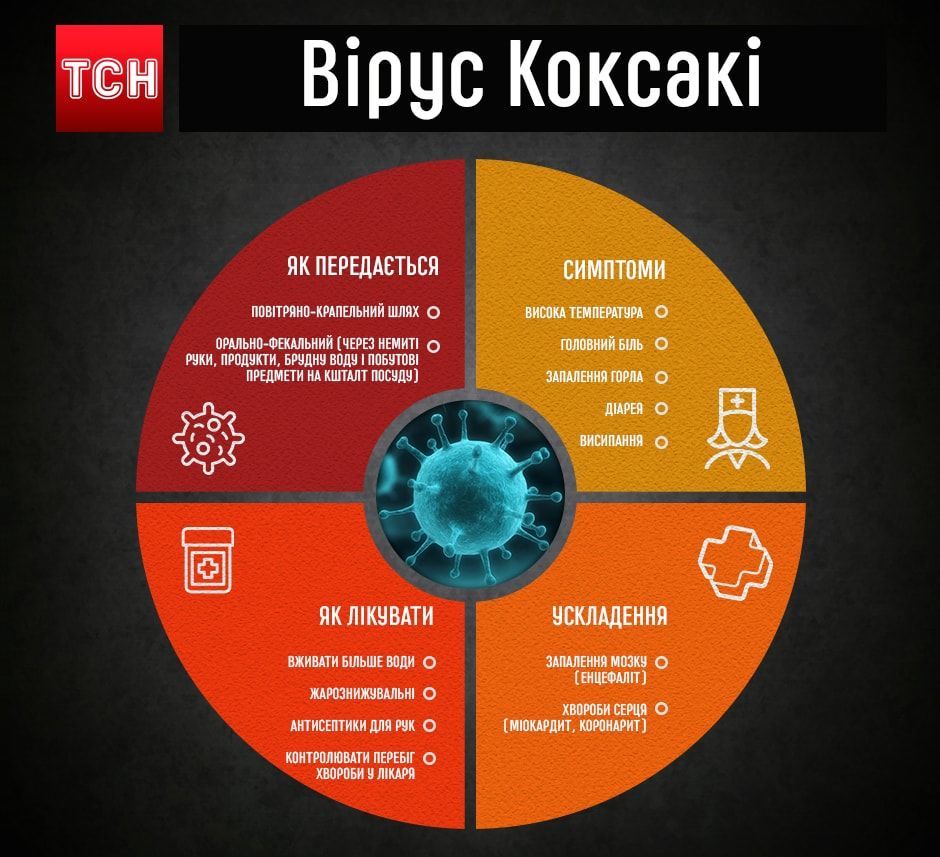 Вірус Коксакі_1