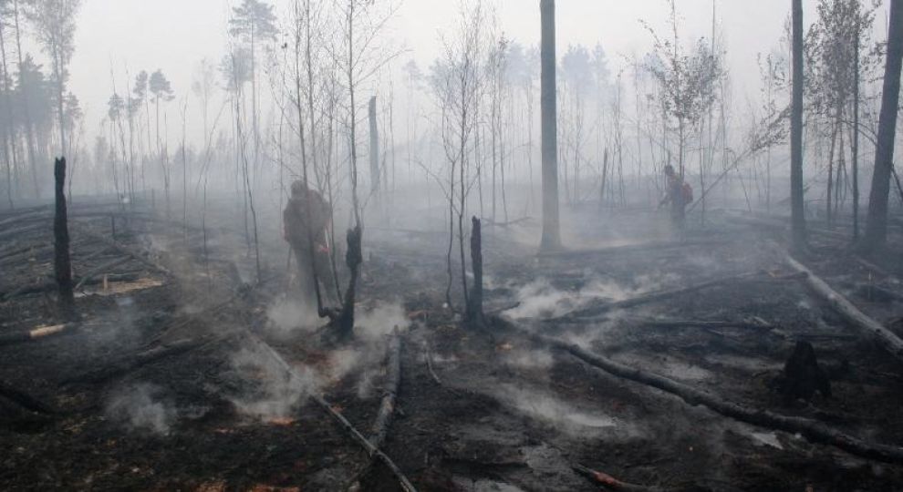 Рятувальники приборкали велику пожежу у заповіднику на Житомирщині