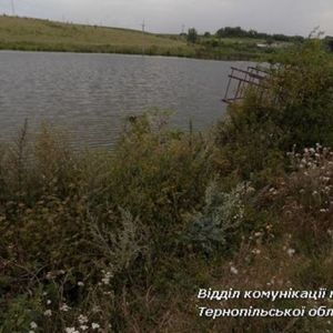 Побачення через сайт знайомств: у поліції розповіли подробиці моторошного вбивства на Тернопільщині