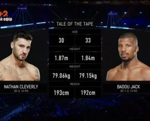 Бокс. Натан Клеверли – Баду Джек. Видео боя