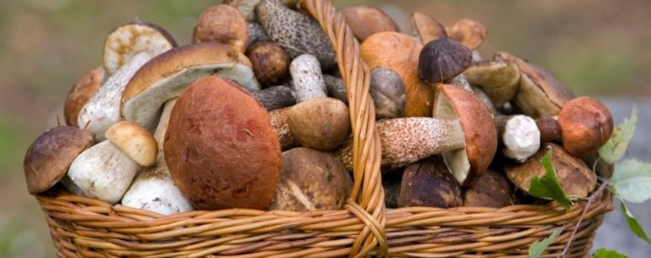 Грибы на кухне: как и с чем готовить лесной урожай