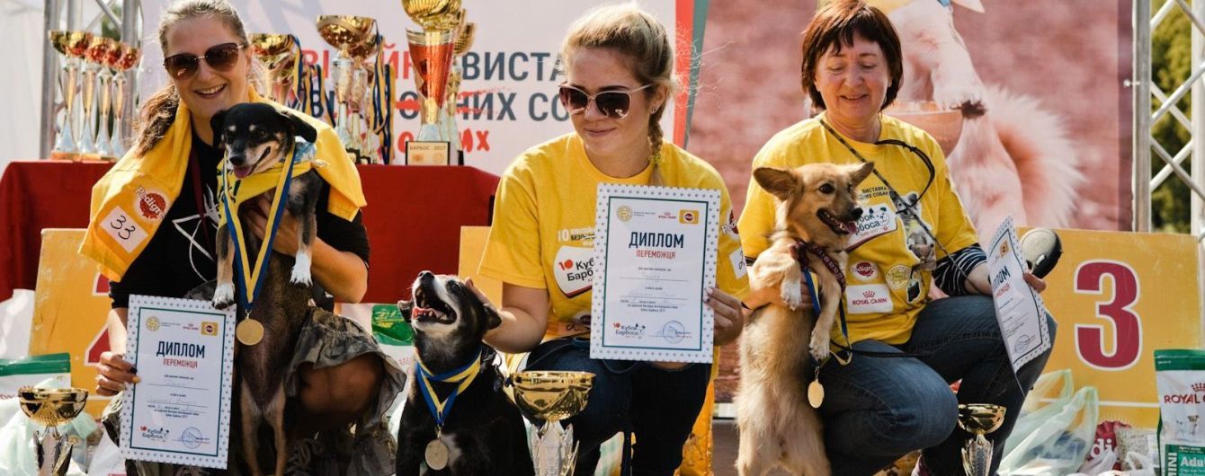 "Для дружбы не важна порода!" – уверены участники Юбилейного 10-го Кубка Барбоса