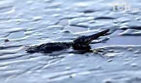 У Греції під воду пішов танкер, із якого море й пляж залило нафтою