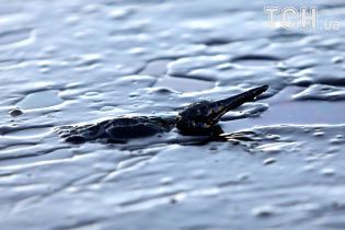 В Греции под воду ушел танкер, из которого море и пляж залило нефтью