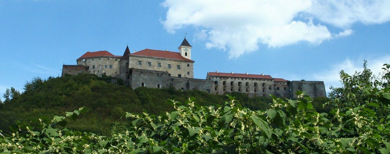 місто Мукачево, Замок Паланок