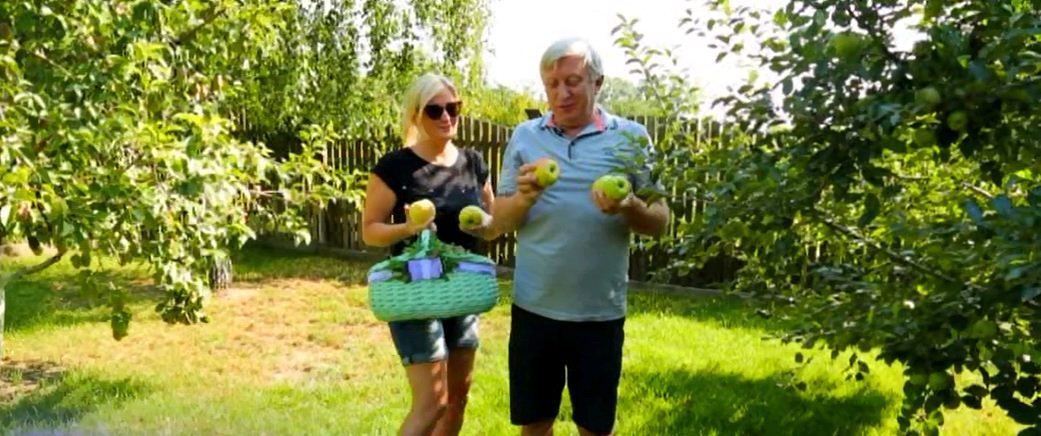 Світське життя дачники