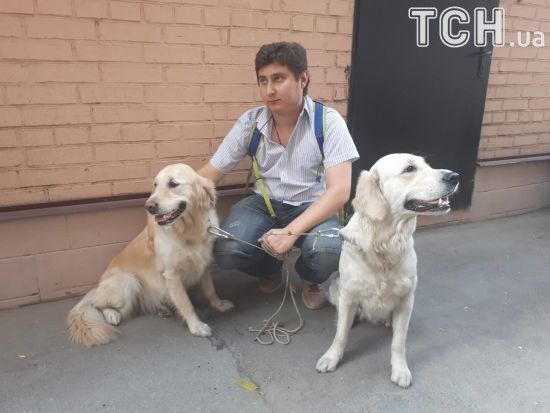 У Києві з пожежі у квартирі врятували двох песиків