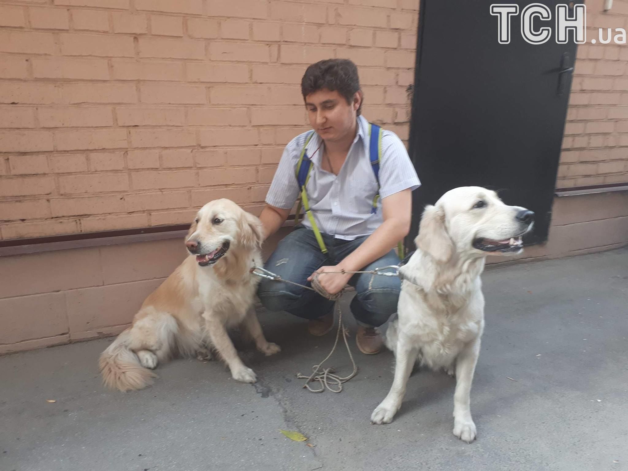 З пожежі врятували двох собак_2