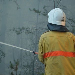 Рятувальники попередили українців про найвищий рівень пожежної небезпеки