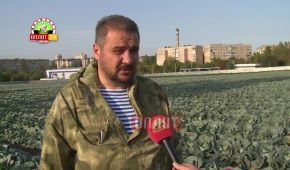 Живой и посреди капусты. "Министр ДНР" после покушения активно раздает интервью