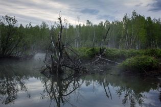Містичні місця України: бездонне Чорне озеро ніколи не замерзає та приваблює нечисту силу