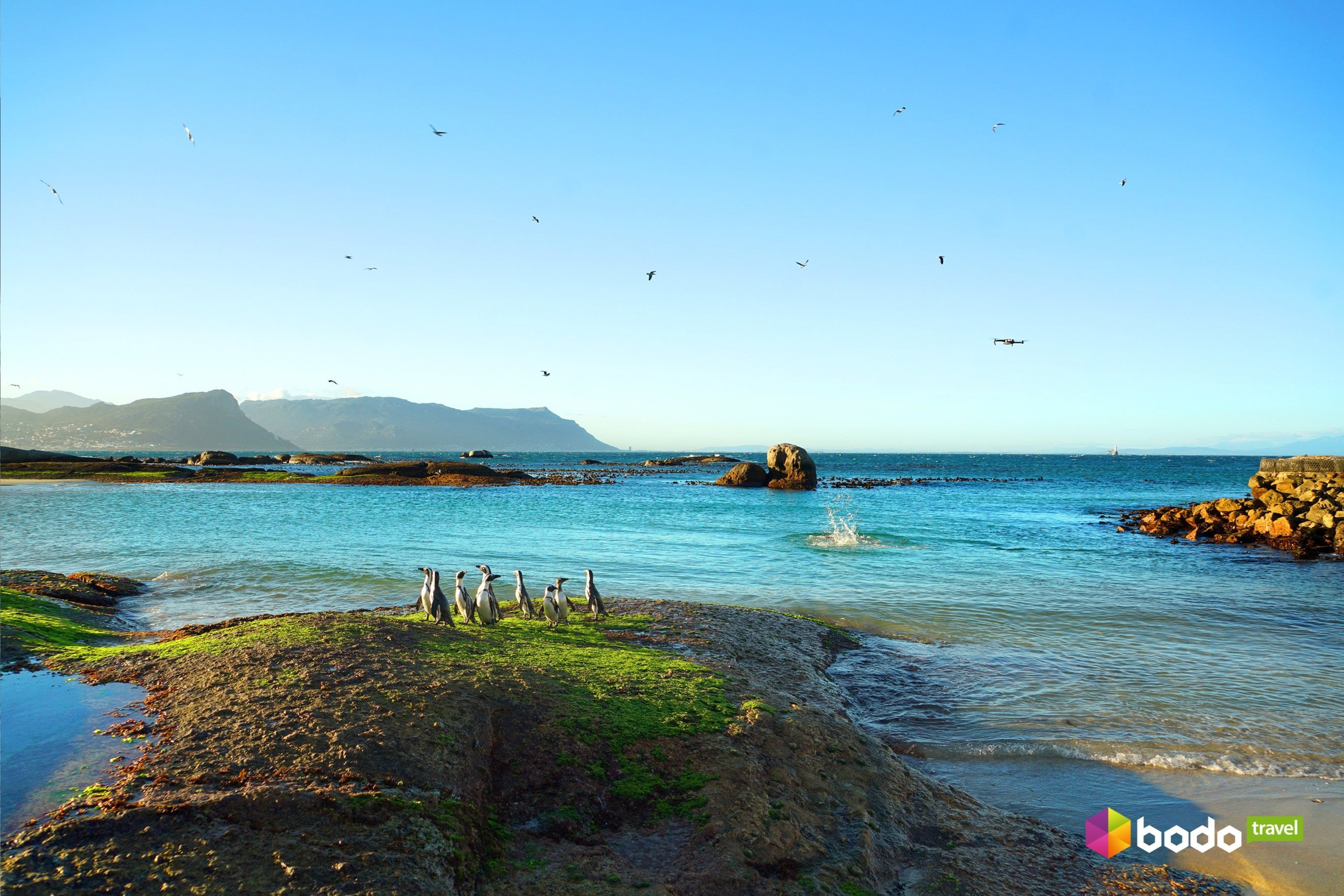 ПАР, Bodo Travel_3
